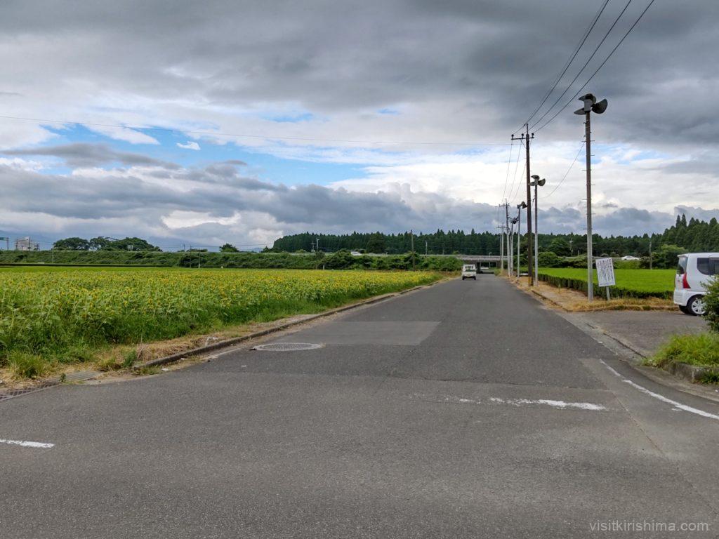 十三塚史跡公園近くのひまわり畑の横の道路
