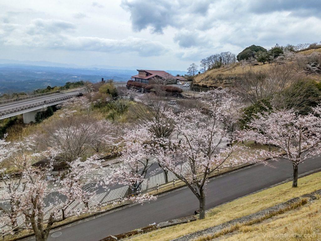 霧島神話の里公園の桜